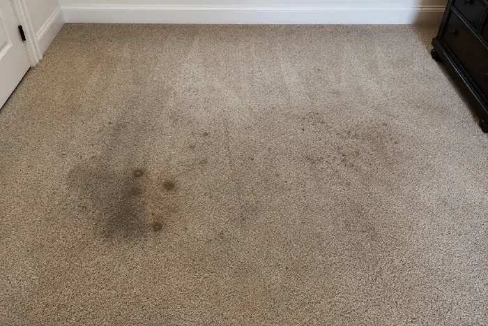 Dirty carpet before cleaning